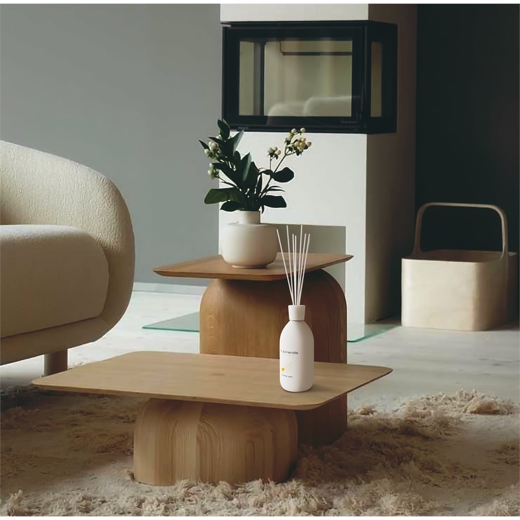 Raumduft Diffuser - 250ml