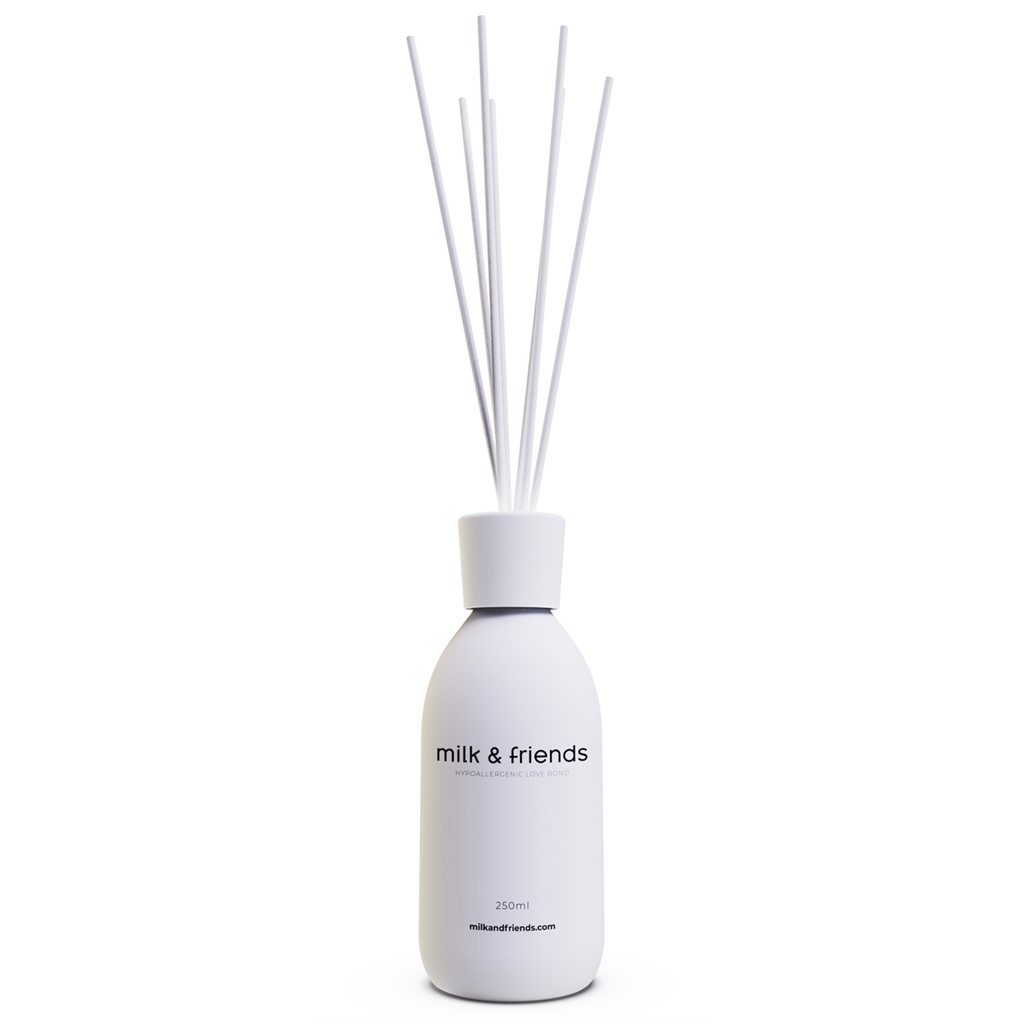 Raumduft Diffuser - 250ml